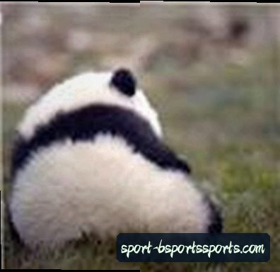 孙明辉
