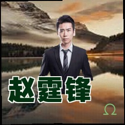 赵霆锋